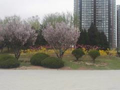 景点-望湖公园