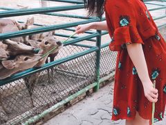-东芭乐园
