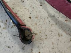 -莱靓奢侈品洗护改衣店(新世界百货崇文店)