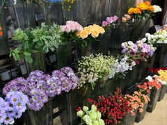 -ChaKo Flora ·茶子花艺 (市北店)