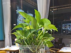 -猪腰一家·地道佛山菜(盐步店)