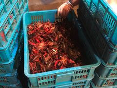 -指爱龙虾(金杨路总店)