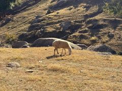 -克什克腾世界地质公园青山景区