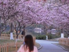 -成都南湖公园