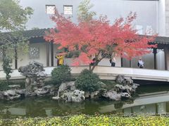 -秋霞圃