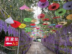 -山乡农家院(海淀区西北旺店)
