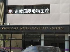 -宠爱国际动物医院· 猫科· 外科·中兽医(长白店)