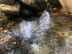 -云岫谷自然风景区