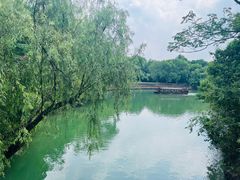 -西溪国家湿地公园