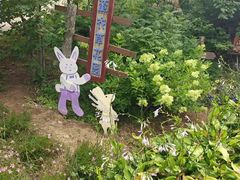 -妙峰山风景名胜区