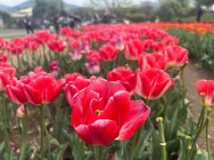 -玄武湖景区-情侣园游乐场