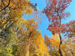 -南山风景名胜区