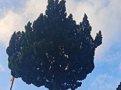 -普陀山风景名胜区-法雨禅寺