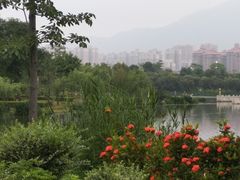 -飞来湖湿地公园