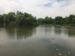 -新江湾城公园