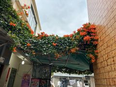 -大澳渔村及棚屋