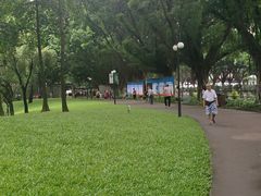 -晓港公园