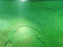 -白鹤梁水下博物馆