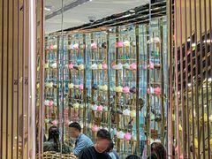 -VENCHI 闻绮(北京国贸商城店)