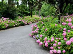 -上海滨江森林公园