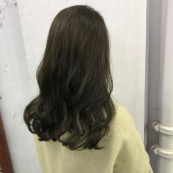 -T8 SALON