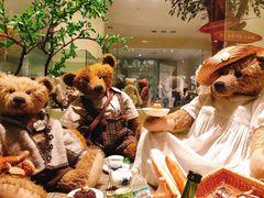 -济州岛泰迪熊博物馆