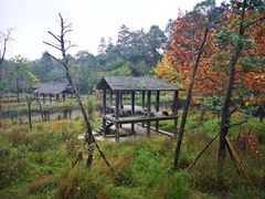 -碧峰峡风景区