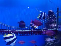 -太平洋海底世界