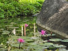 -三亚亚龙湾人间天堂鸟巢度假村