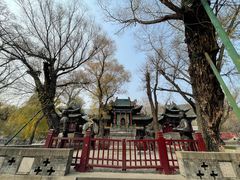 -晋祠公园