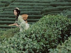 -十里琅珰
