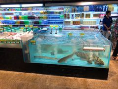 -海蓝海鲜馆(五四北店)