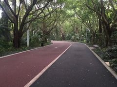 -南宁南湖公园