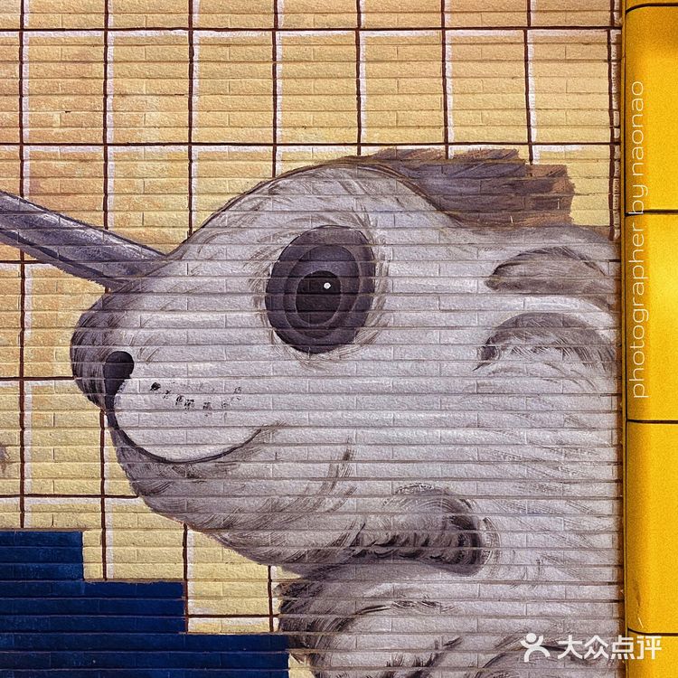 南京 |可可爱爱的地铁站路过秒治愈‼️