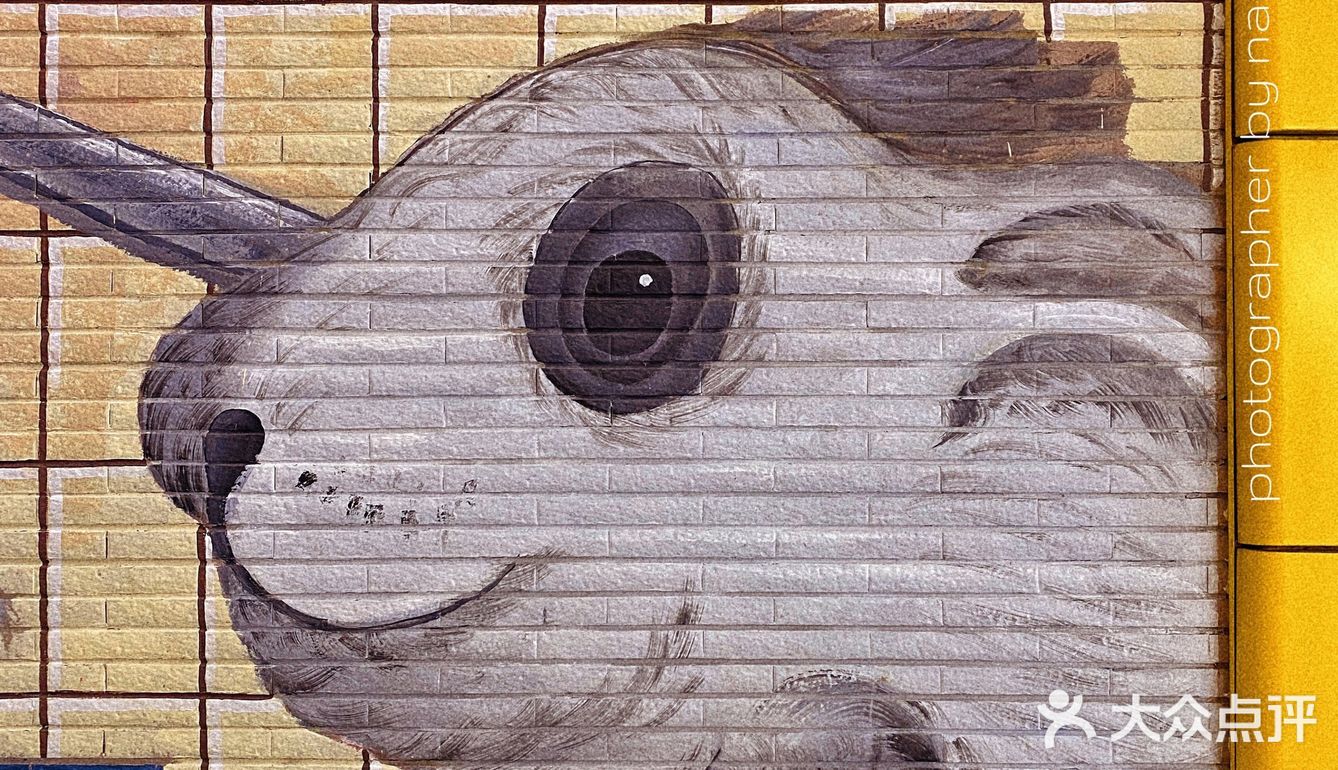 南京 |可可爱爱的地铁站路过秒治愈‼️