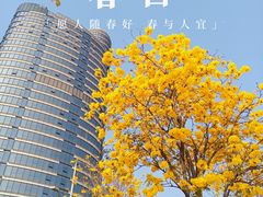 -洲头咀公园