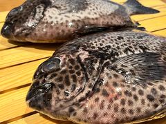 -水之惠鲜鱼料理(王府大街店)