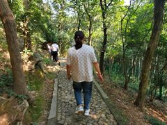 -上海佘山国家森林公园西佘山园