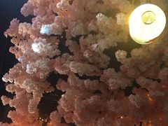 -TZ House音乐现场(茅台店)