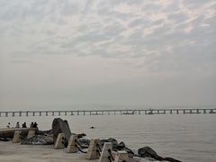 -宝安西湾红树林湿地公园