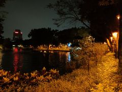 -荔湾湖公园