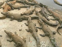 -广东茂名森林公园