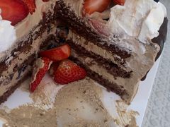 -维尔纳斯·生日蛋糕·动物奶油冰淇淋蛋糕(六里桥店)