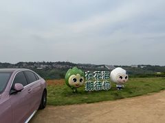 -十九峰景区-倒脱靴
