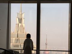 -上海柏悦酒店