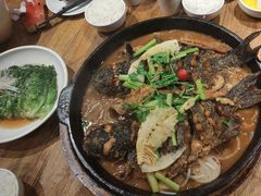 -老板恋上鱼(高新万达店)