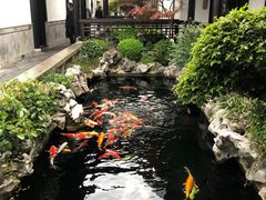 -金海华·华宴江南(斜塘店)