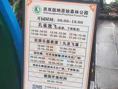 -西双版纳原始森林公园