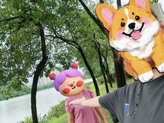 -飞来湖湿地公园