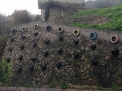 -枸杞岛